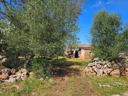 Parcela urbana en venta en Costitx rebajada