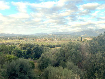 Parcela urbana en venta en Campanet