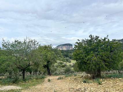 Parcela rústica en venta en Alaró