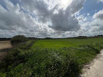 Parcela rústica en venta en Muro