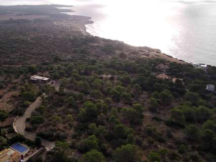 Parcela rústica en venta en Llucmajor