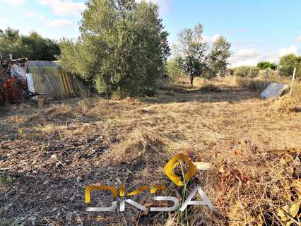 Parcela rústica en venta en Villarreal/Vila-real