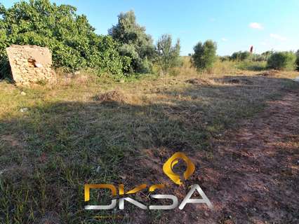 Parcela rústica en venta en Villarreal/Vila-real