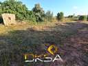 Parcela rústica en venta en Villarreal/Vila-real