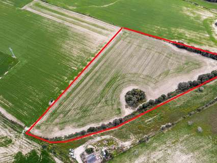 Parcela rústica en venta en Llubí