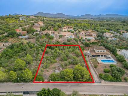 Parcela rústica en venta en Manacor