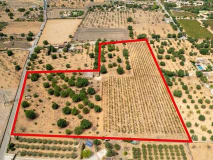 Parcela rústica en venta en Consell