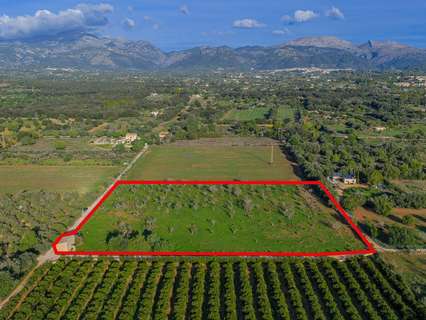 Parcela rústica en venta en Búger