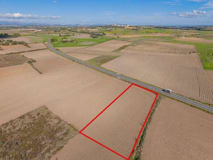 Parcela rústica en venta en Petra