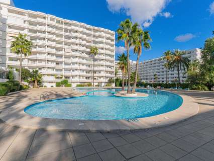 Estudio en venta en Alcúdia