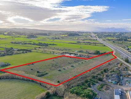 Parcela rústica en venta en Algaida