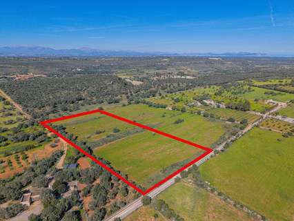 Parcela rústica en venta en Manacor