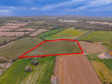 Parcela rústica en venta en Muro