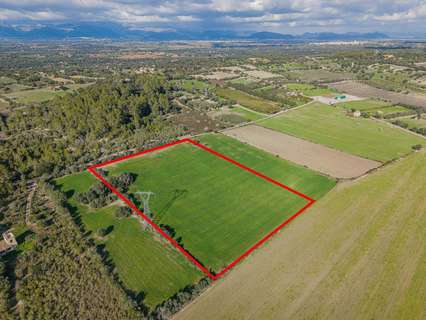 Parcela rústica en venta en Llubí