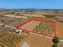 Parcela rústica en venta en Santa Margalida