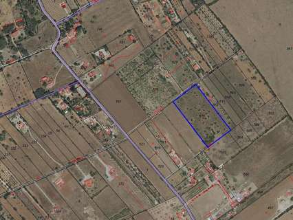 Parcela rústica en venta en Algaida