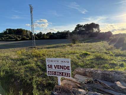 Parcela rústica en venta en Sant Joan