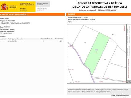 Parcela rústica en venta en Fuentealbilla