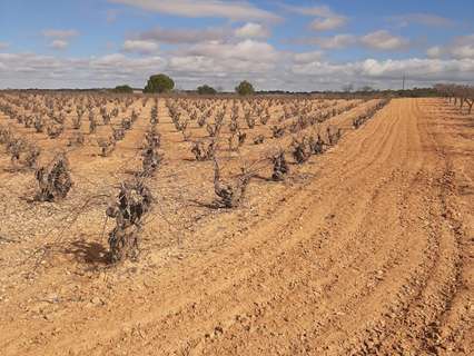 Parcela rústica en venta en Fuentealbilla