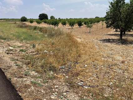 Parcela rústica en venta en Mahora
