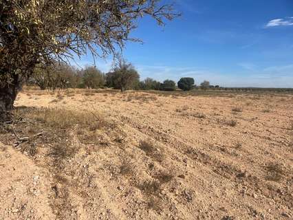 Parcela rústica en venta en Jorquera