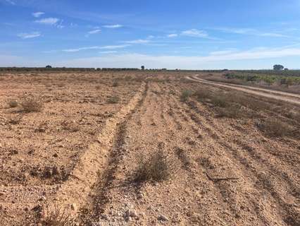 Parcela rústica en venta en Jorquera