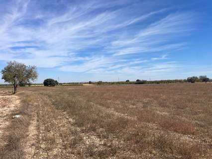 Parcela rústica en venta en Jorquera