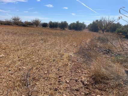 Parcela rústica en venta en Jorquera