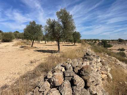 Parcela rústica en venta en Jorquera