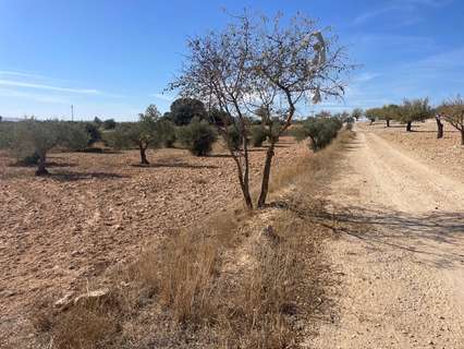 Parcela rústica en venta en Jorquera