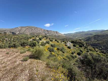 Parcela rústica en venta en Valle de Abdalajís