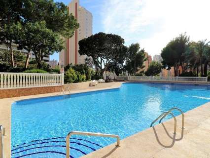 Apartamento en alquiler en Benidorm