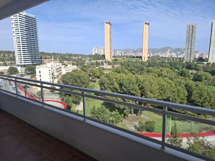 Apartamento en alquiler en Benidorm