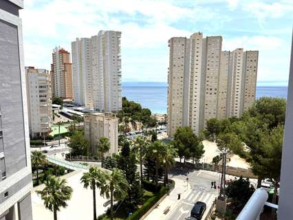 Apartamento en alquiler en Benidorm