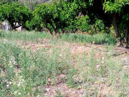 Parcela rústica en venta en Bolulla