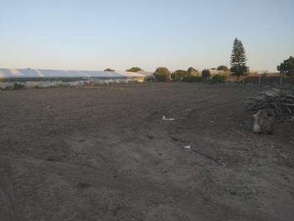 Parcela rústica en venta en Sanlúcar de Barrameda