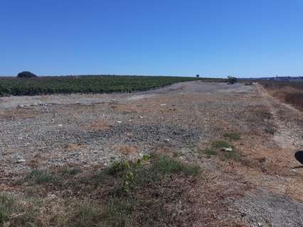 Parcela rústica en venta en Sanlúcar de Barrameda