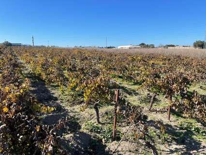 Parcela rústica en venta en Sanlúcar de Barrameda