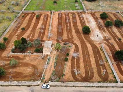 Parcela rústica en venta en Santa Margalida