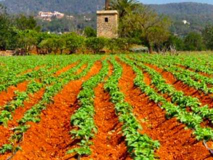 Parcela rústica en venta en Muro