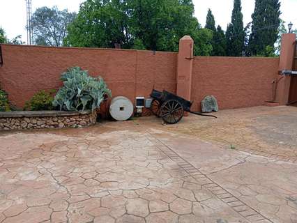 Casa rústica en alquiler en Selva
