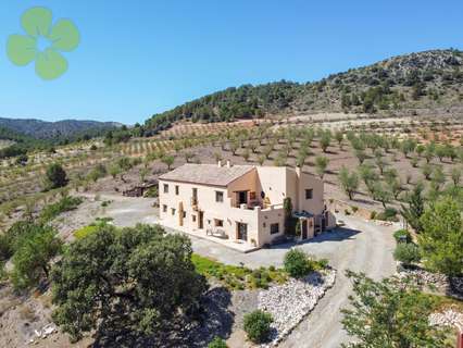 Cortijo en venta en Chirivel