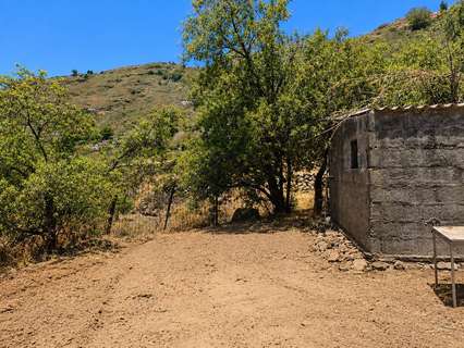 Parcela rústica en venta en Vega de San Mateo rebajada