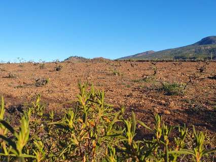 Parcela rústica en venta en Vilaflor
