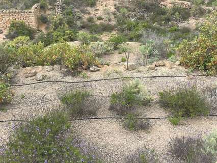 Parcela rústica en venta en Arico