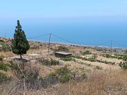 Parcela rústica en venta en Fasnia