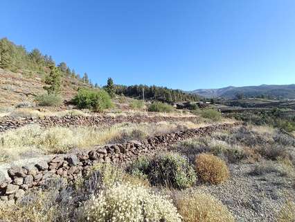 Parcela rústica en venta en Vilaflor