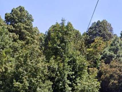 Parcela rústica en venta en Icod de los Vinos