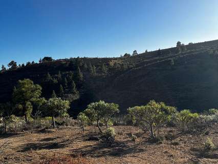 Parcela rústica en venta en Granadilla de Abona