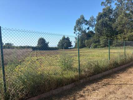 Parcela rústica en venta en San Cristóbal de La Laguna